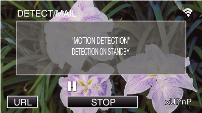 C3_WiFi Screen DETECTION STANDBY